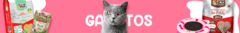 Banner da categoria Gatos