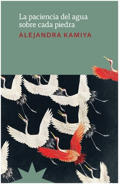 la paciencia del agua sobre cada piedra - alejandra kamiya - eterna cadencia