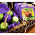 Imagem do Ovo de Páscoa de Colher Milka Spoonable Creme de Avelã 136g (4 unidades de 34g cada) + Colher de Madeira