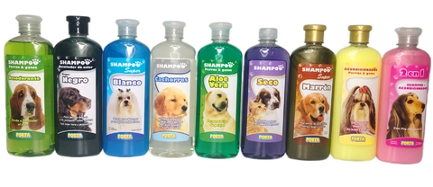 Shampoo Porta