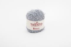 TRENTO en internet