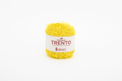 TRENTO en internet