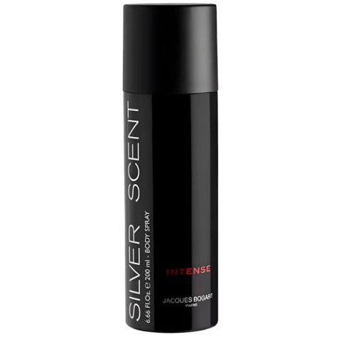 Desodorante Spray Silver Scent Intense 200ml