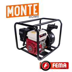 MOTOBOMBA FEMA 2X2"-APTO QUIMICOS-7HP-25000L/H- en internet