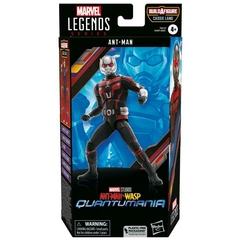 Ant-Man | Quantumania | Marvel Legends en internet