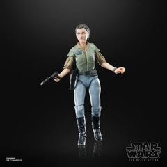 Princesa Leia | Endor| Black Series - comprar online