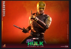 Daredevil | She-Hulk | Hot Toys - Zampaku Store