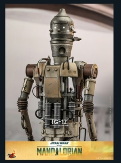 Imagen de IG-12 | HOT TOYS