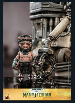 IG-12 | HOT TOYS