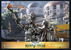 IG-12 | HOT TOYS