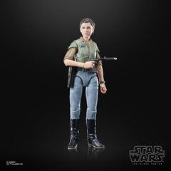 Imagen de Princesa Leia (Endor)| Episodio VI: El Retorno del Jedi | Black Series