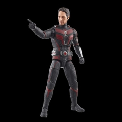 Ant-Man | Quantumania | Marvel Legends - Zampaku Store