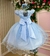 Vestido Jardim Encantado Azul Bebê - Sol Kids