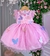 Vestido Infantil Jardim Encantado Rosa Aplique Borboletas - comprar online