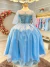 Fantasia Infantil Princesas Elsa Frozen Com Capa Festas Luxo - comprar online
