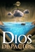 LIBRO Dios de Pactos de Elías Limones en Librería Puerta del Cielo