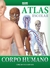 Atlas Escolar do Corpo Humano - Escolar - comprar online