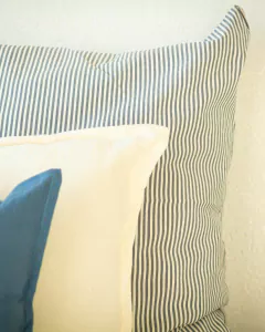 Almohadón Mil Rayas en internet