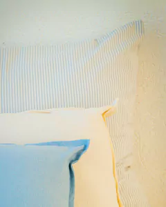 Imagen de Almohadón Mil Rayas