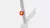 Luz Flash Pack Dianteira e traseira - Combo - comprar online