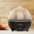Cozedor De Ovos Portátil Elétrico A Vapor Para Até 7 Ovos
