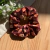 Scrunchie de Bakery - Tilda e Oliver - comprar online