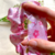 Scrunchie O Conto da Princesa Kaguya - Padronagem de Studio Ghibli na internet