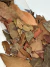 Ervas Insulina Folha - comprar online