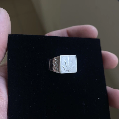 Anel Masculino Erva - Prata 925