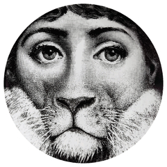 Prato de Parede Estilo Fornasetti Leão
