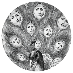 Prato de Parede Estilo Fornasetti Pavão