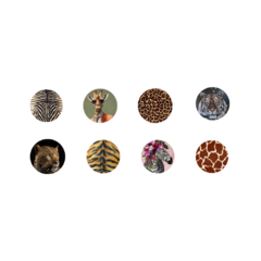 Conjunto Pratos de Parede Animal Print - comprar online