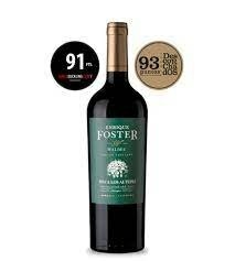 ENRIQUE FOSTER SINGLE VINEYARD LOS BARRANCOS Malbec 2022 en internet