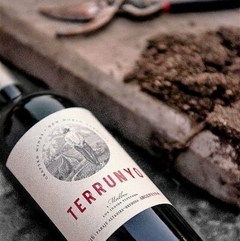 Terrunyo, Malbec, Paraje Altamira Los Indios 2016 - comprar online