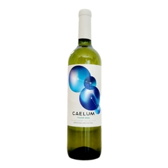 Fiano Terroir de Bodega Caelum