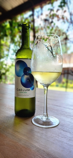 Fiano Terroir de Bodega Caelum - comprar online