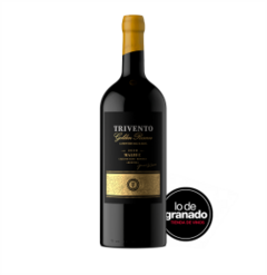 Trivento Golden Reserve Malbec Botellón de 3 litros de Guarda