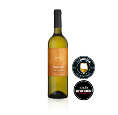 CAELUM RESERVA BLEND BLANCO