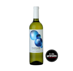 CAELUM RESERVA BLEND BLANCO en internet