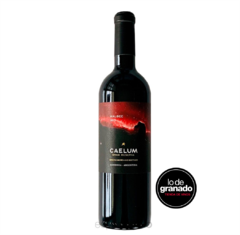 Caelum Gran Reserva Malbec