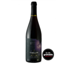 Caelum Gran Reserva Pinot Noir