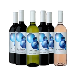 Caelum Chardonnay - comprar online