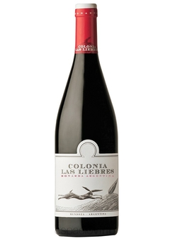 Colonia Las Liebres Bonarda Vino Orgánico