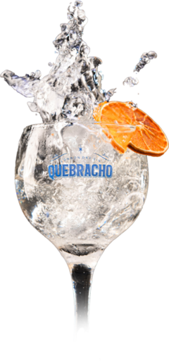 Copa Gin Quebracho