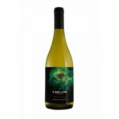 Caelum Fiano Gran Reserva Blanco