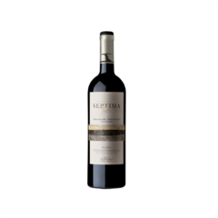 Séptima Tierra Malbec - Selección De Terruños Gualtallary