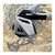 Protetor De Cambio Impactos Rsd Guard Bike Mtb Speed Gravel - comprar online