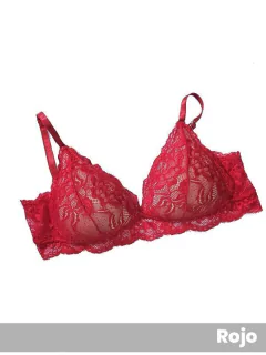 Corpiño Triángulo De Puntilla Armado (145468) en internet