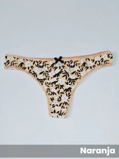 Colaless Flores T2 (24951)