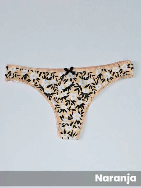 Colaless Flores T2 (24951)